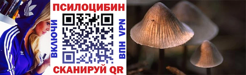 darknet как зайти  Кунгур  Псилоцибиновые грибы Psilocybe  наркошоп 