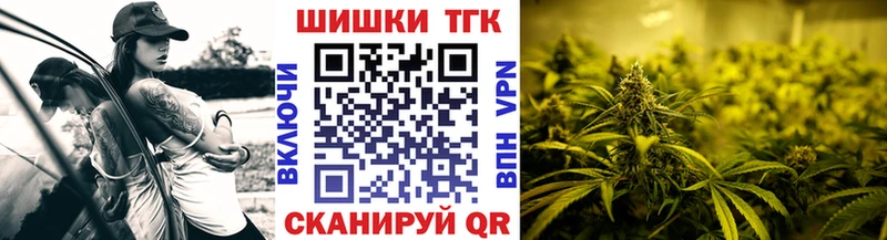 Бошки Шишки семена  Кунгур 